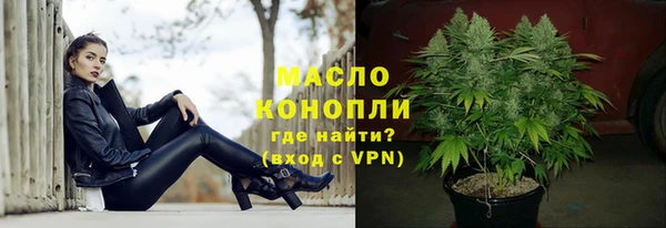 амф Верхний Тагил