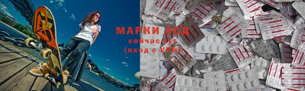 шишки Верея